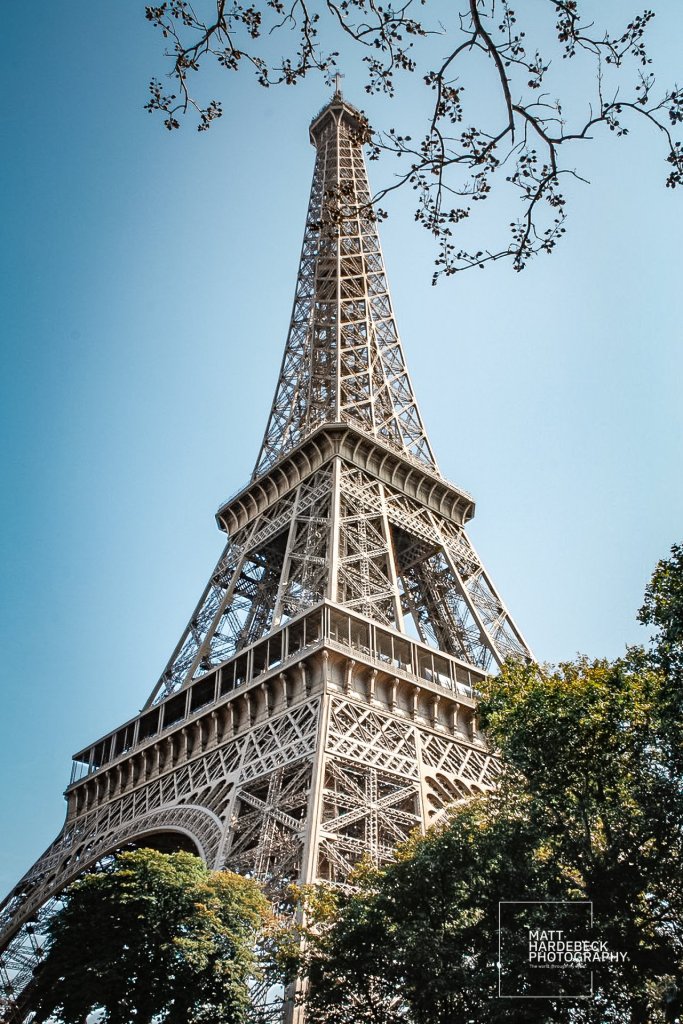 Eiffel Tower framed by trees