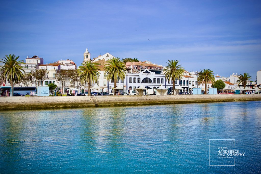 Waterfront view of Lagos, Portugal, with palm trees lining the promenade and historic buildings in the background.