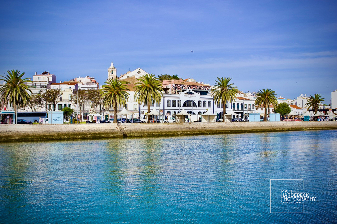 Waterfront view of Lagos, Portugal, with palm trees lining the promenade and historic buildings in the background.