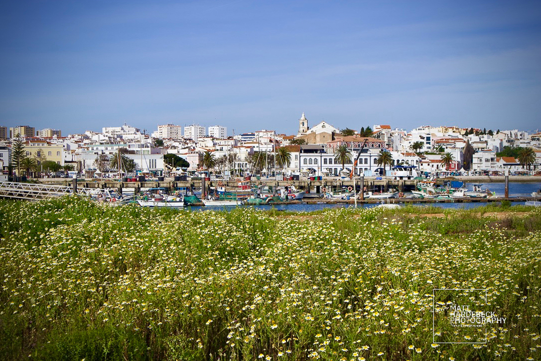 Spring wildflowers in the foreground with Lagos harbor, fishing boats, and town skyline beyond.