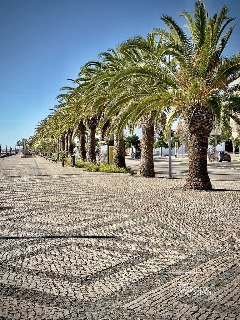 Palm trees casting shadows on patterned cobblestone along the Lagos waterfront.