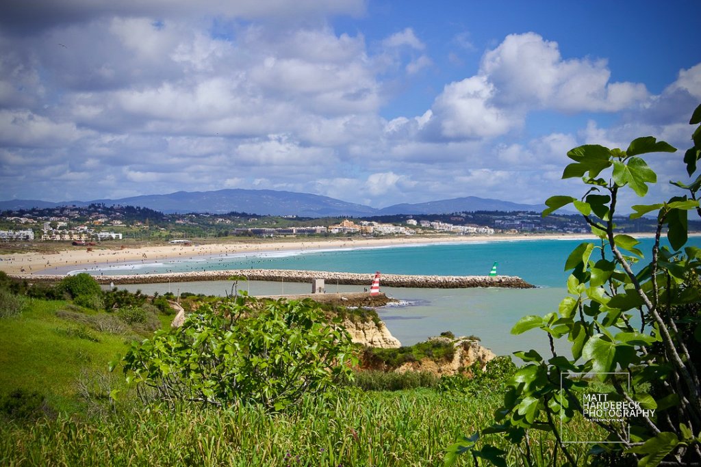 View of Meia Praia beach and breakwater from a hillside, framed by green foliage.
