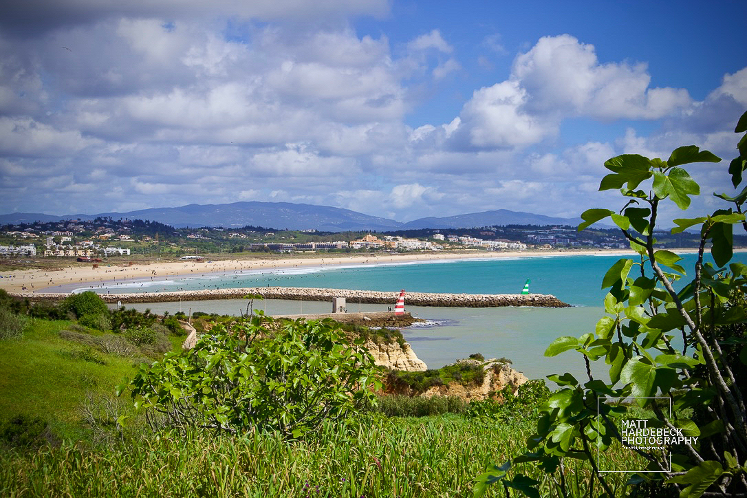 View of Meia Praia beach and breakwater from a hillside, framed by green foliage.