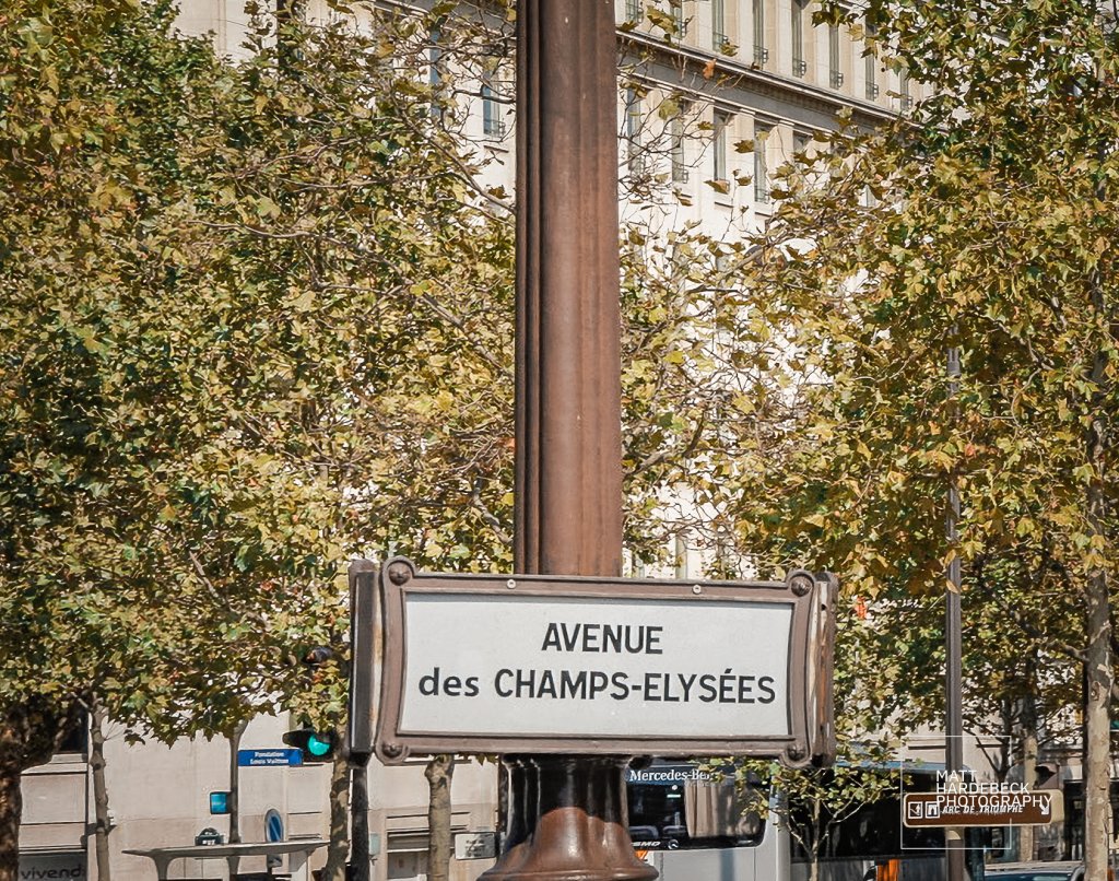 Street sign for Avenue des Champs-Élysées in front of trees and Haussmannian buildings