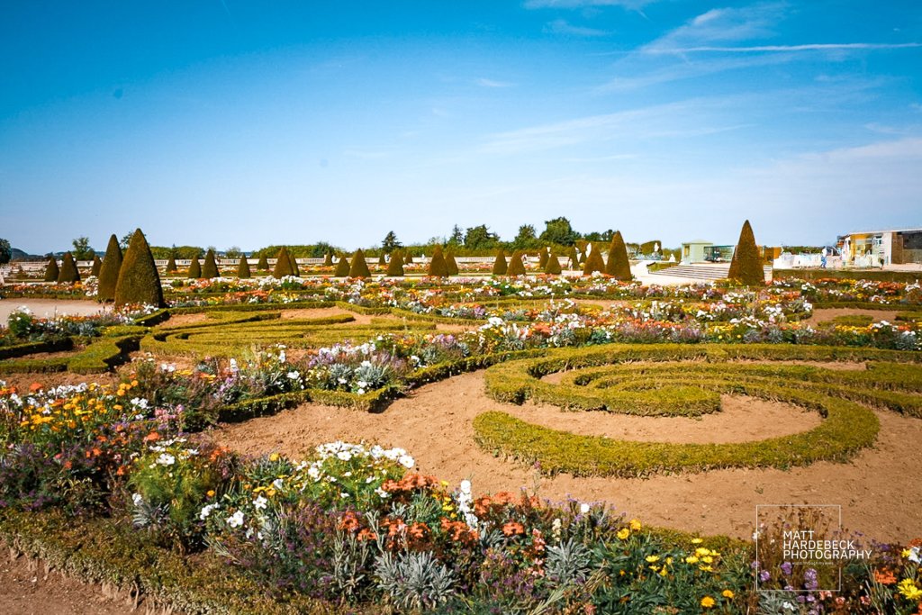 Ornate parterre garden at Versailles with geometric hedges, colorful flowers, and cone-shaped trees.